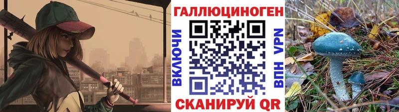 Купить  Камышлов  Галлюциногенные грибы мицелий 