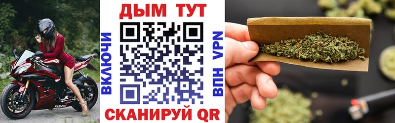 Марихуана Amnesia  Купить закладки  Камышлов 
